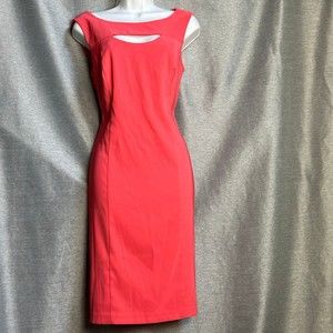 dressbarn dress size 10